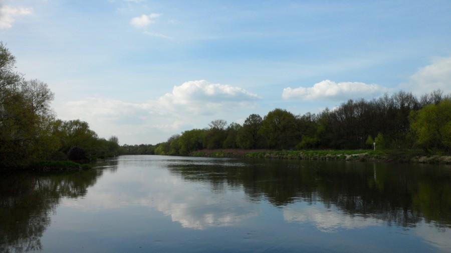 Odra