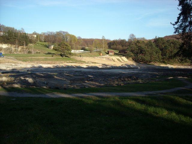 Staw Amerykan