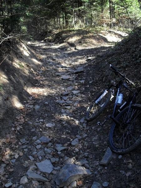 Zielony szlak