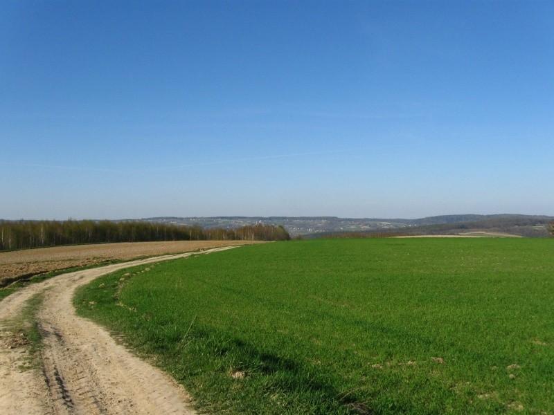 Prawie na Białej Górze- widok do tyłu, Grochowiczna po prawej.
