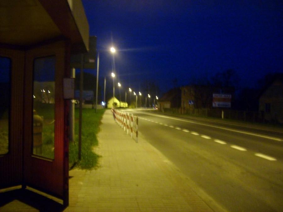 Brzezie nocą