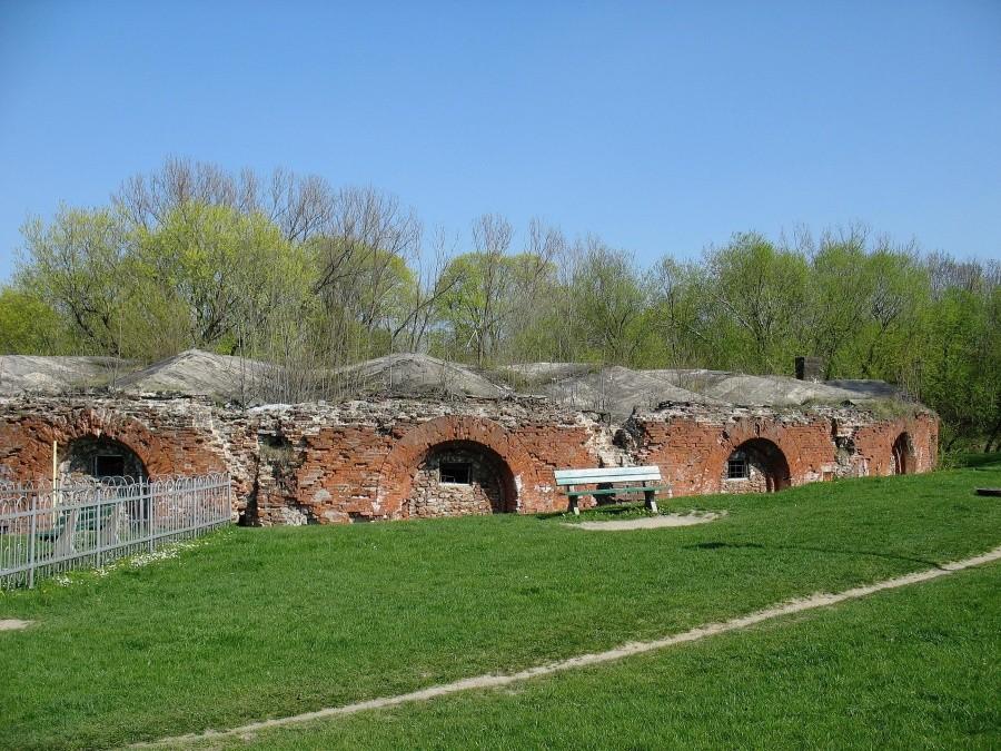 Działobitnia rawelinu