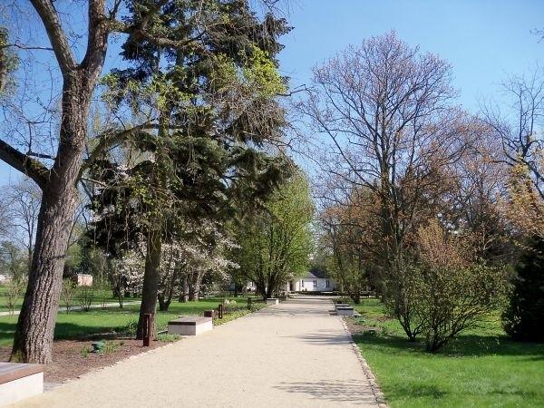 Główna aleja w parku