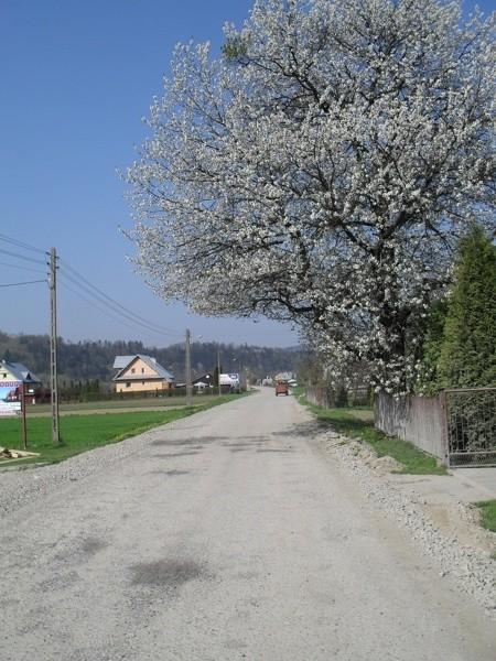 Ciąg dalszy masakrycznej drogi