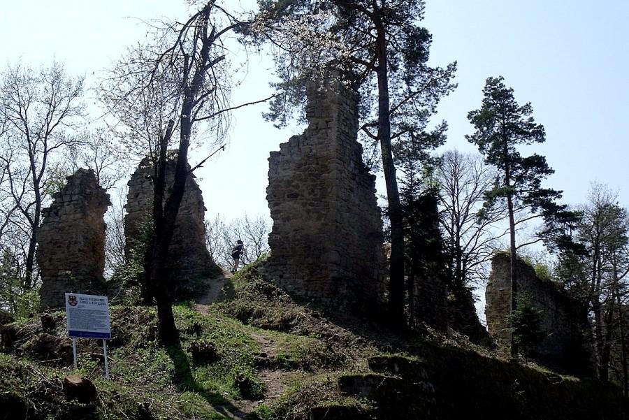 Zamek Zawiszy Czarnego