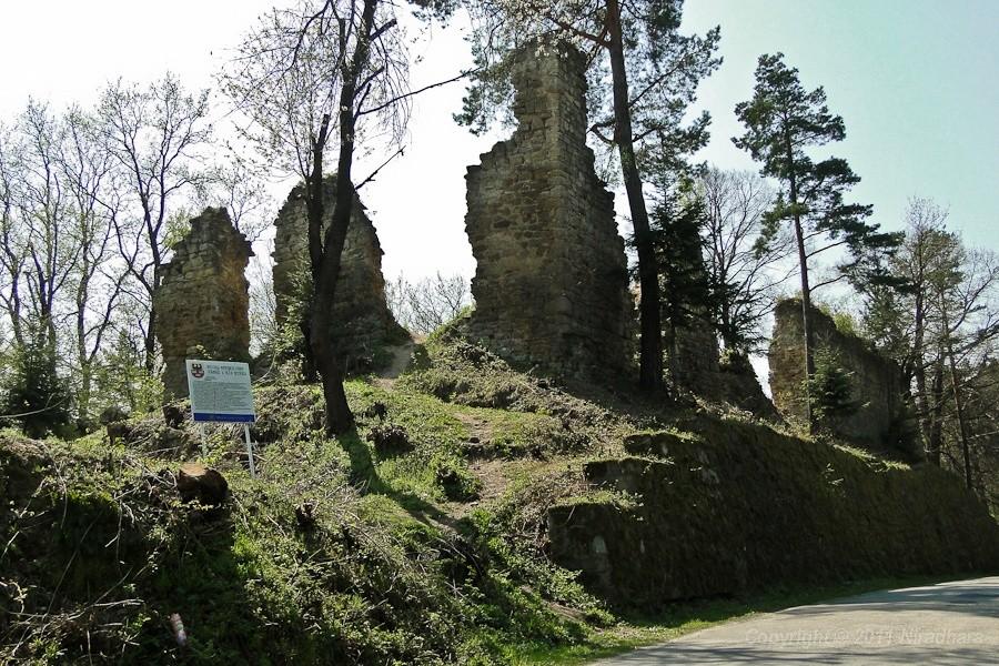 zamek Gryfitów