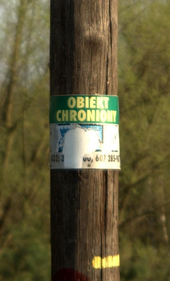 Dziwny obiekt objęty ochroną