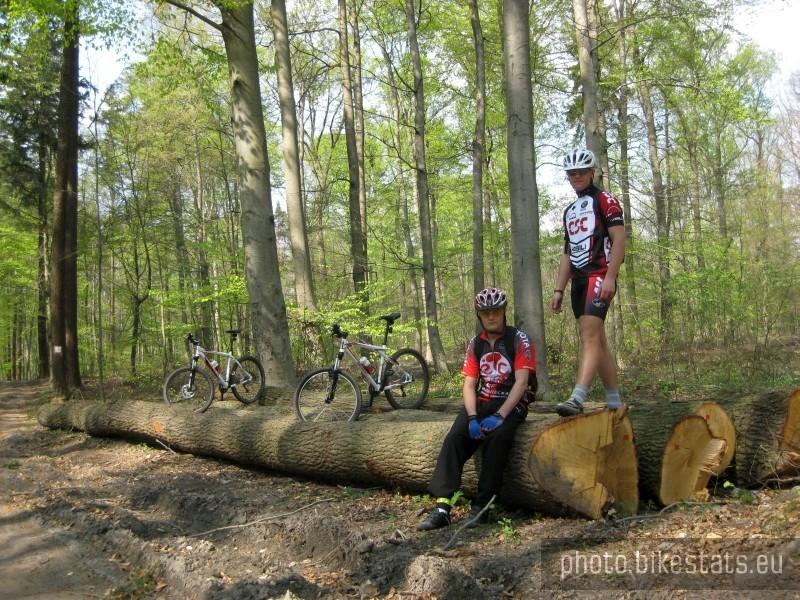Przy naturalnym leśnym stojaku rowerowym :-)