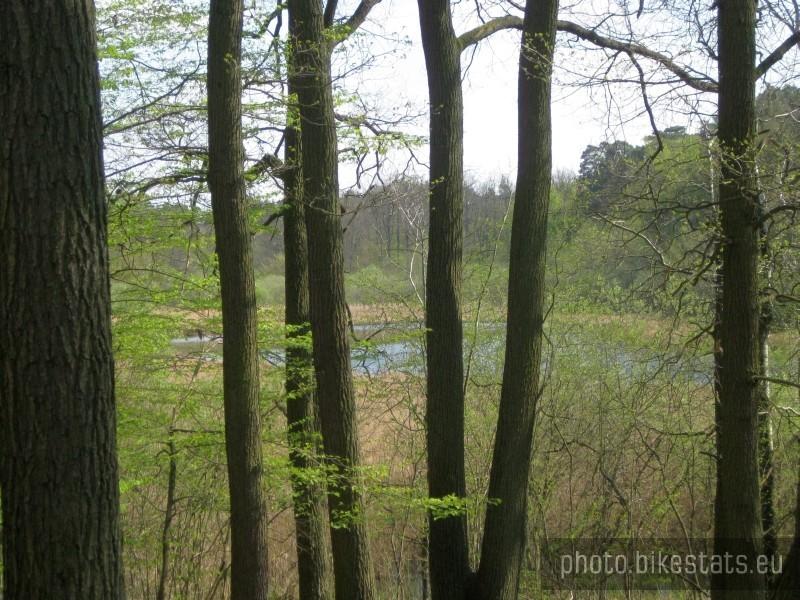 Rezerwat Jezioro Drążynek.