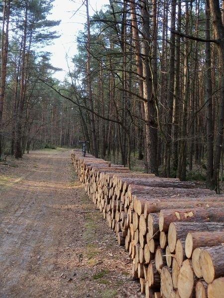 Enduro rowerówka :)