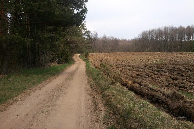 Leśna-polna droga