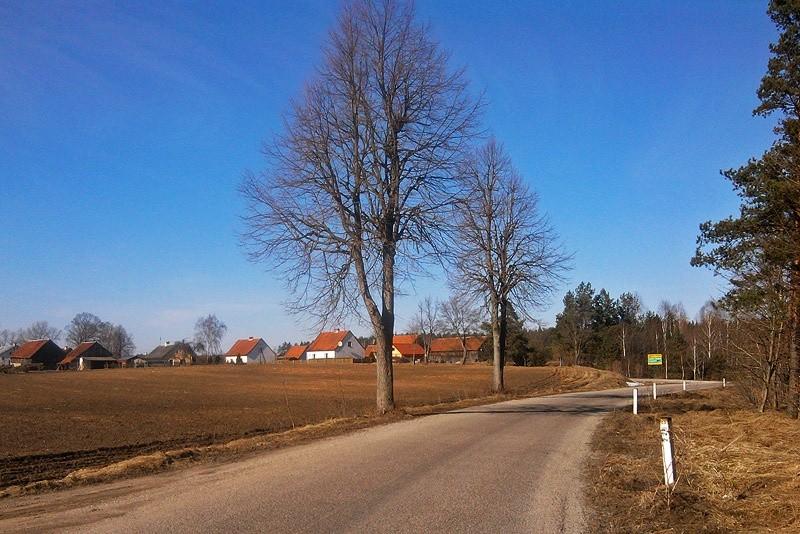 Alfaltowa droga