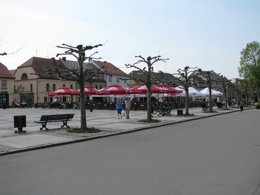Dziwne drzewa