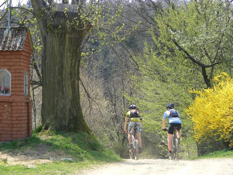 Wiosenne rowerowanie