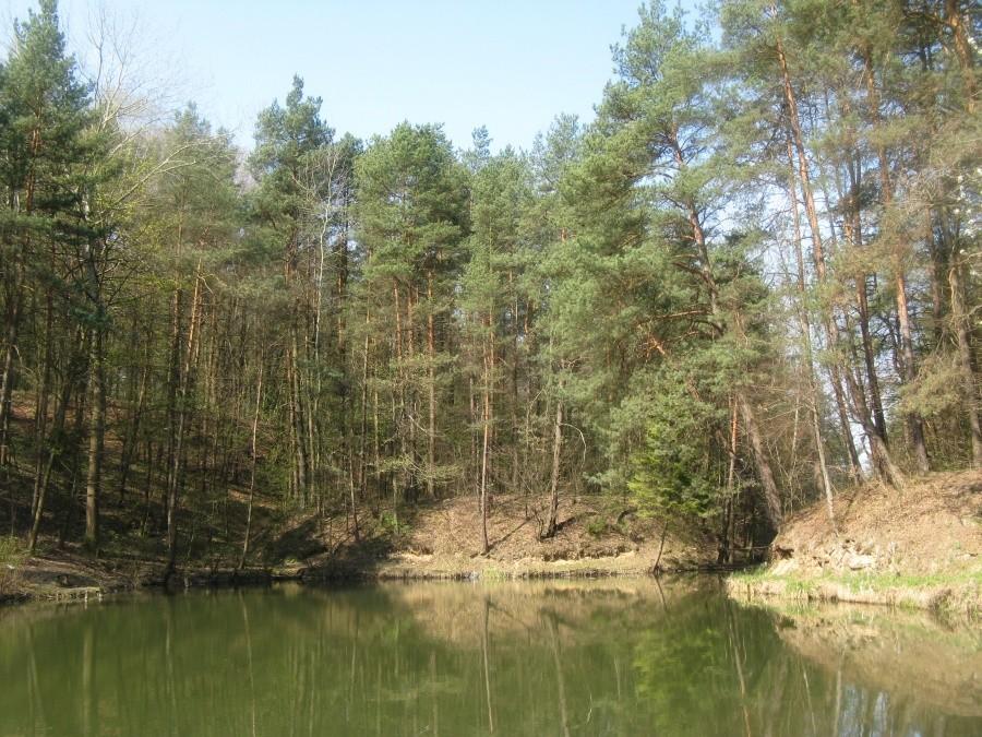 Staw w Sławkowie