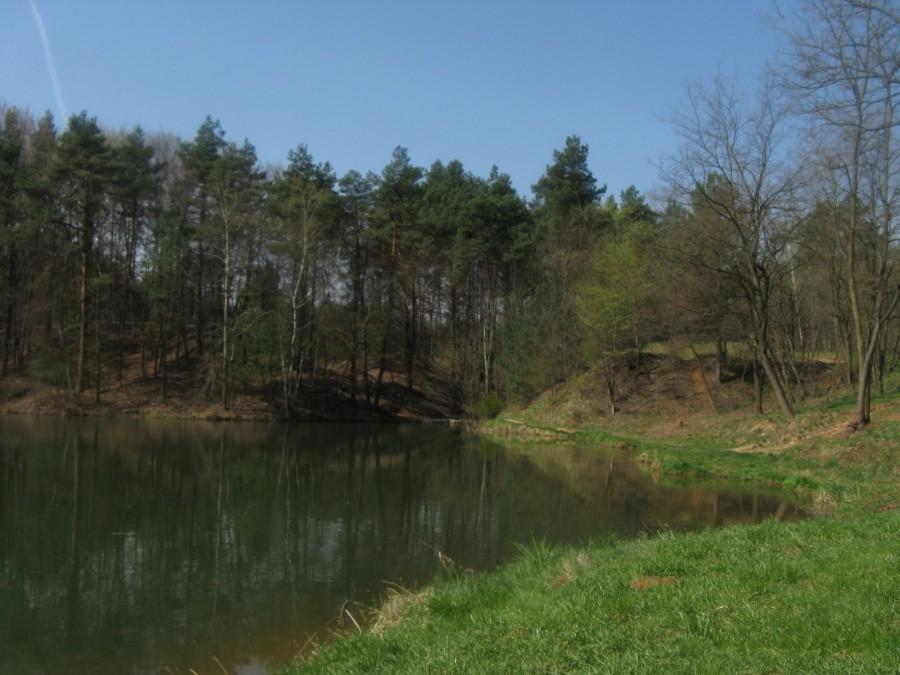 Staw w Kluczach