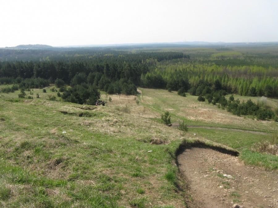 Zarośnięta pustynia