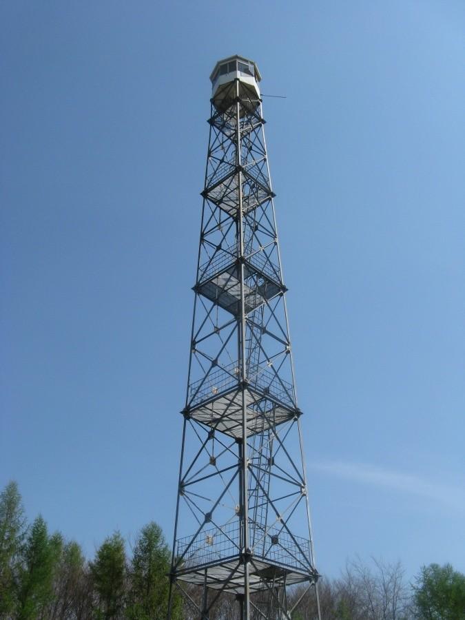 Wieża