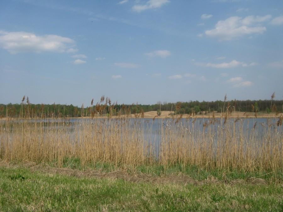 Pogoria II