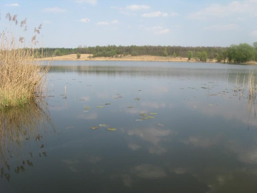 Pogoria II