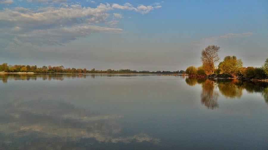 Nad Wislą w Golębiu
