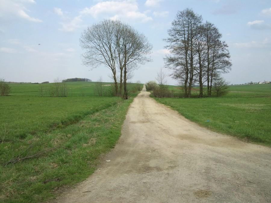 Podjazd w Dzierżawie