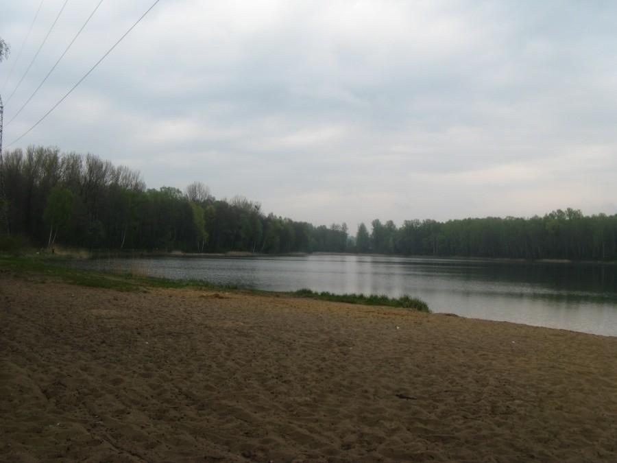 Rogoźnik