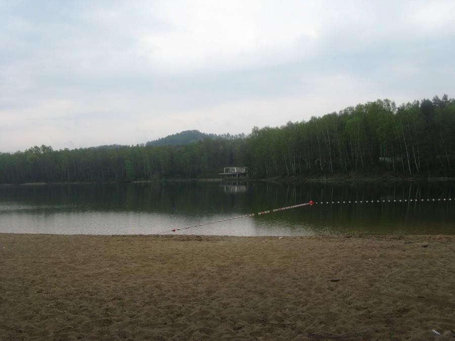Rogoźnik