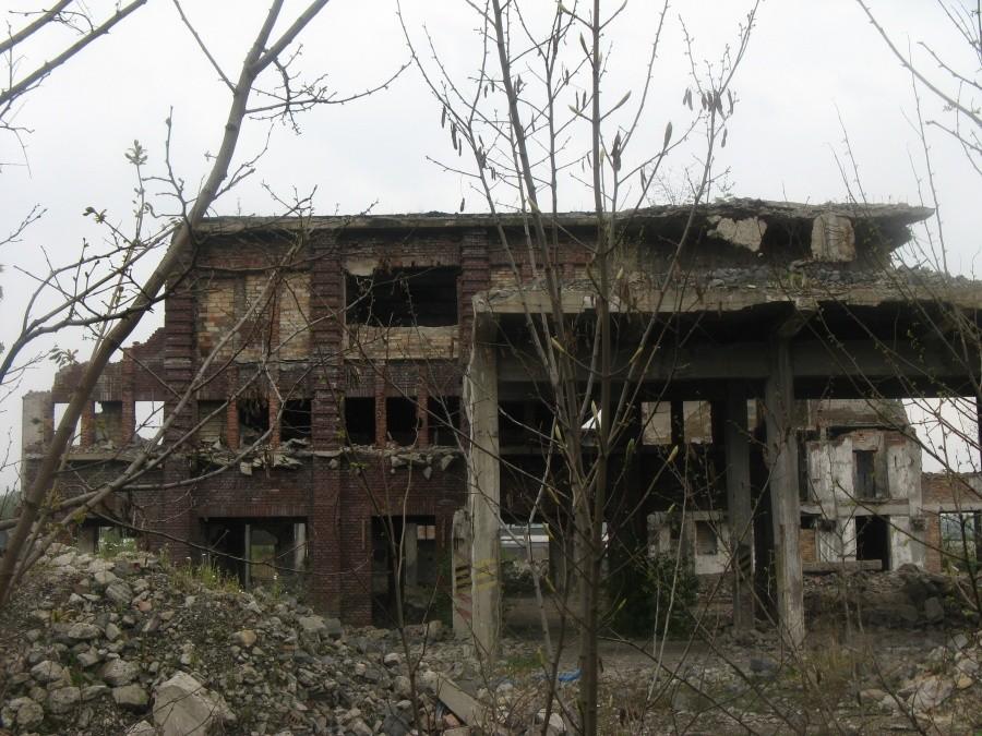 Rogoźnik