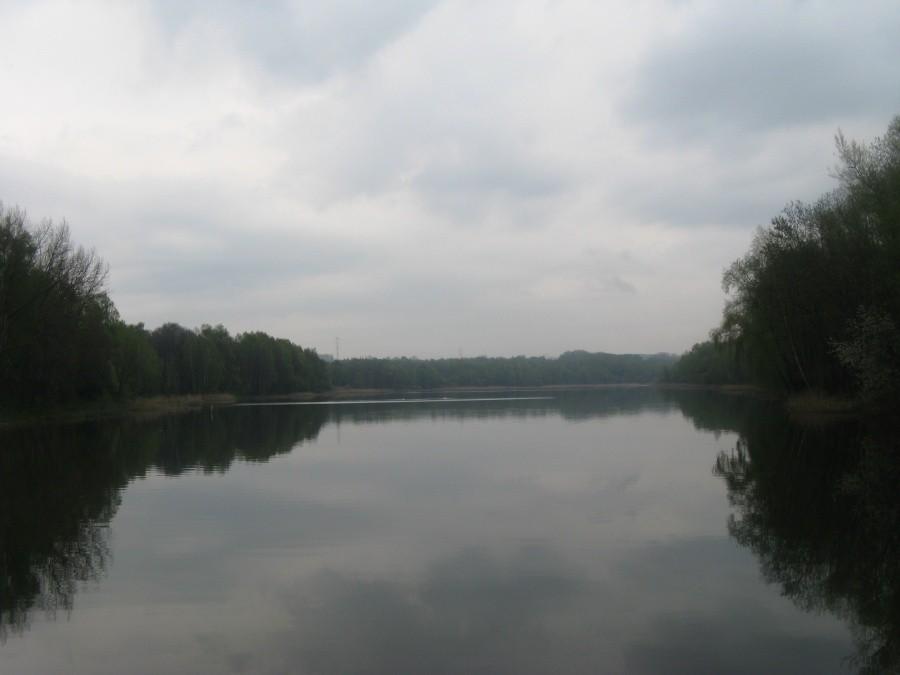 Rogoźnik again