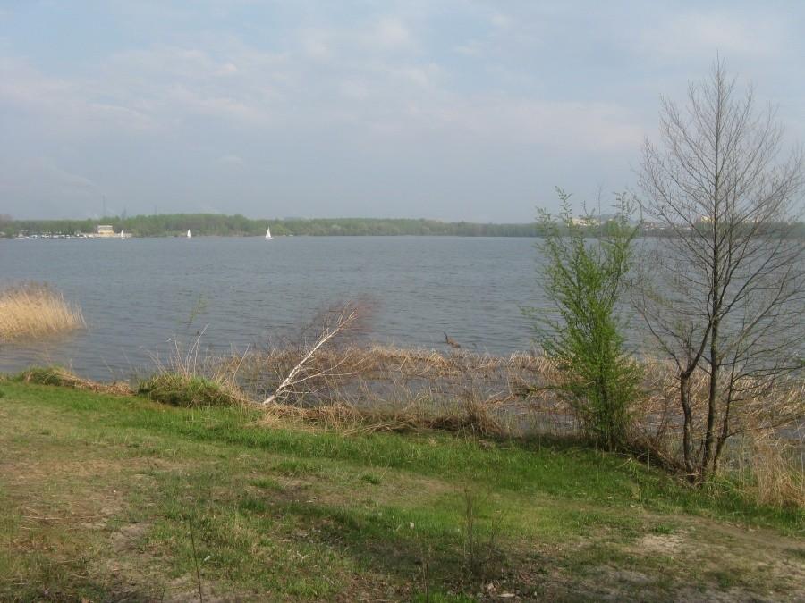 Pogoria III