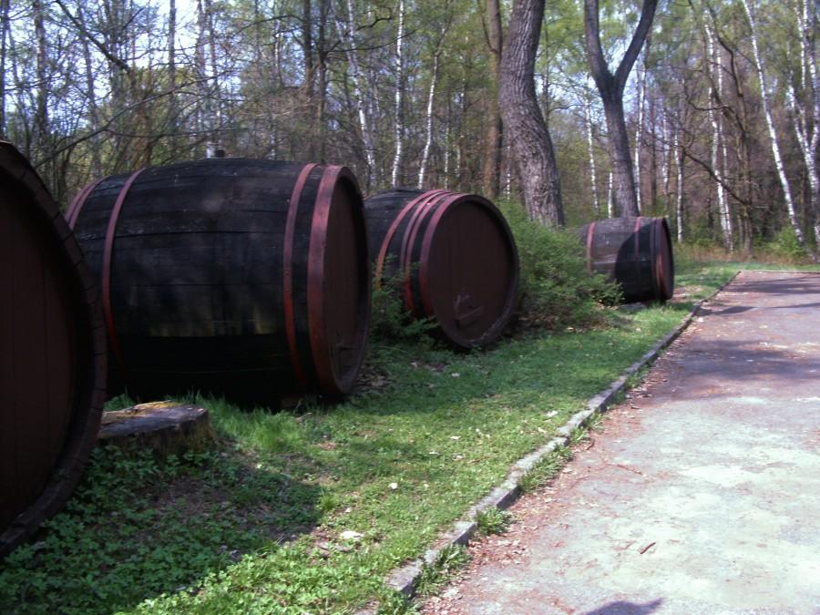 Gdzieś podrodze do miechowic
