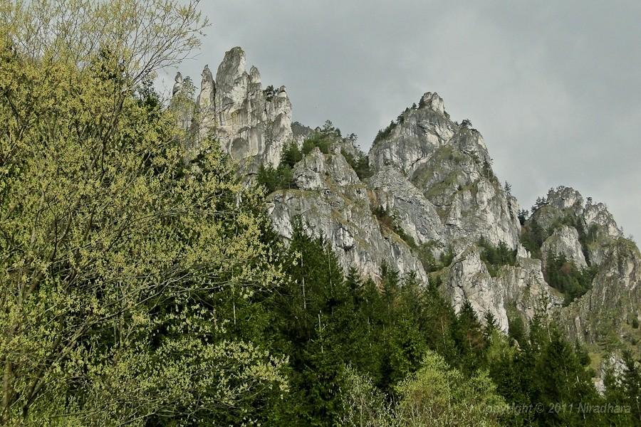 Sokolie
