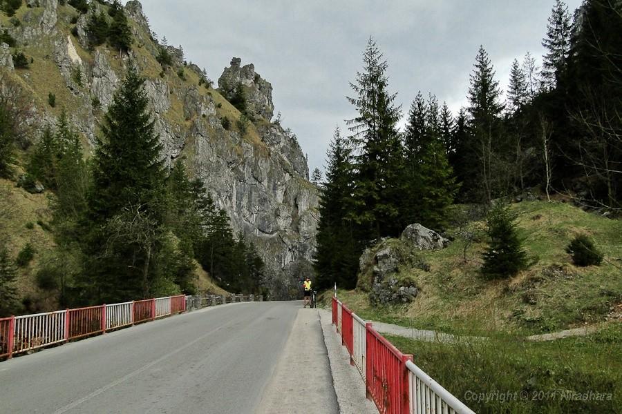 Piotrek foci skałki