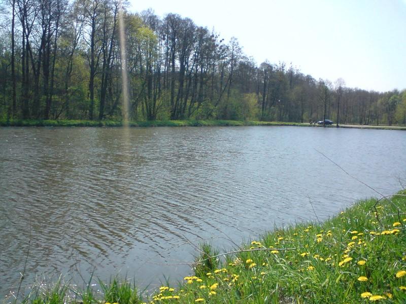 Kolonia Dobieszków - popas