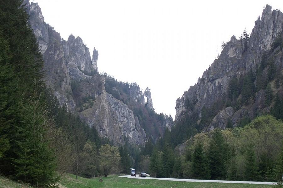 Widoczek