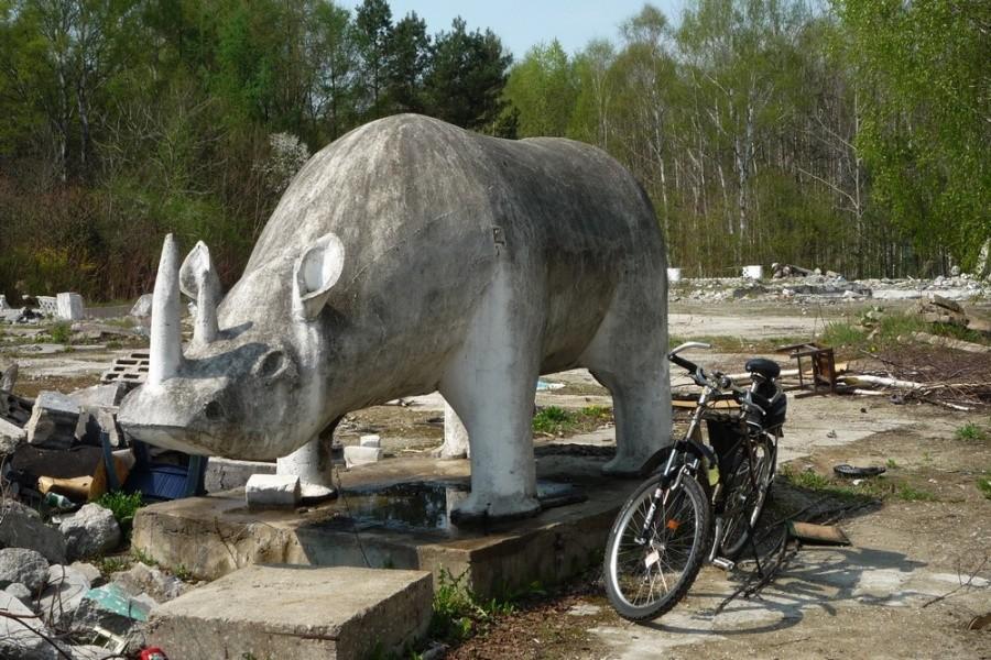 Nosorożec w centrum medycyny alternatywnej -Kuleszówka