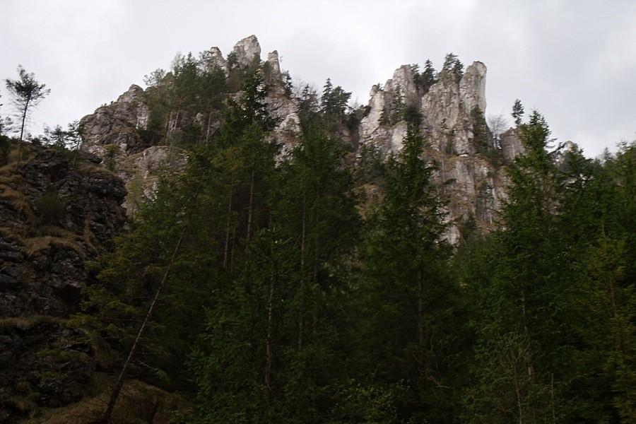 Śmierdzi deszczem