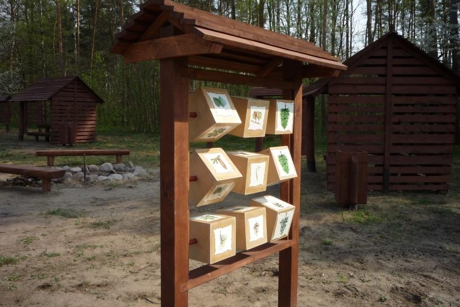Gra edukacyjna na polanie turystycznej w lesie sękocińskim