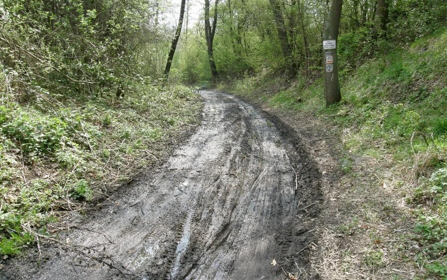 Fragmentu błotka nie zabrakło :)