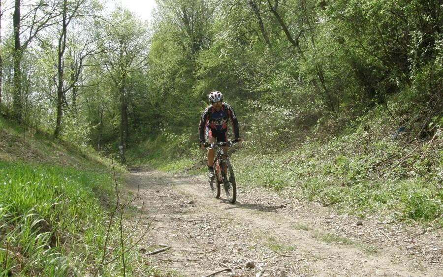 Po 130 km całkiem dobrze mi się podjeżdżało :)