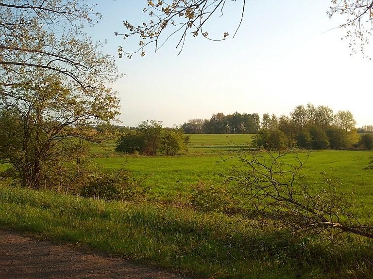 widoki