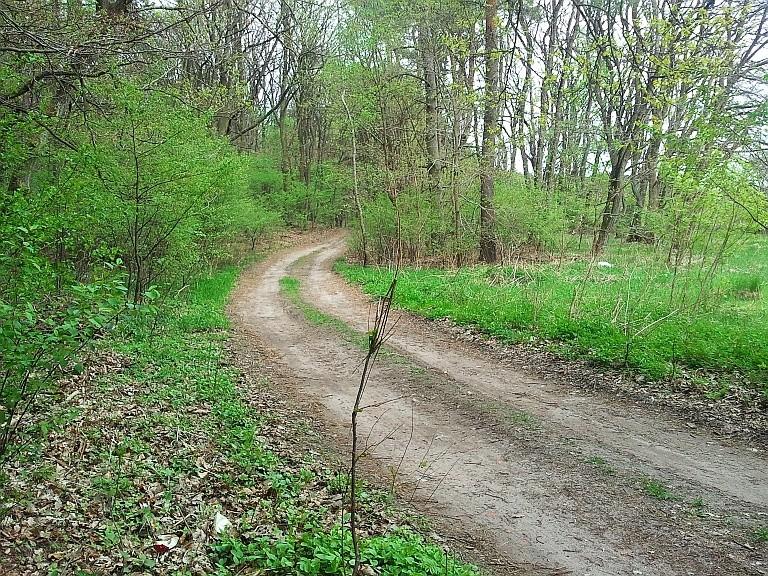 Sierakowo