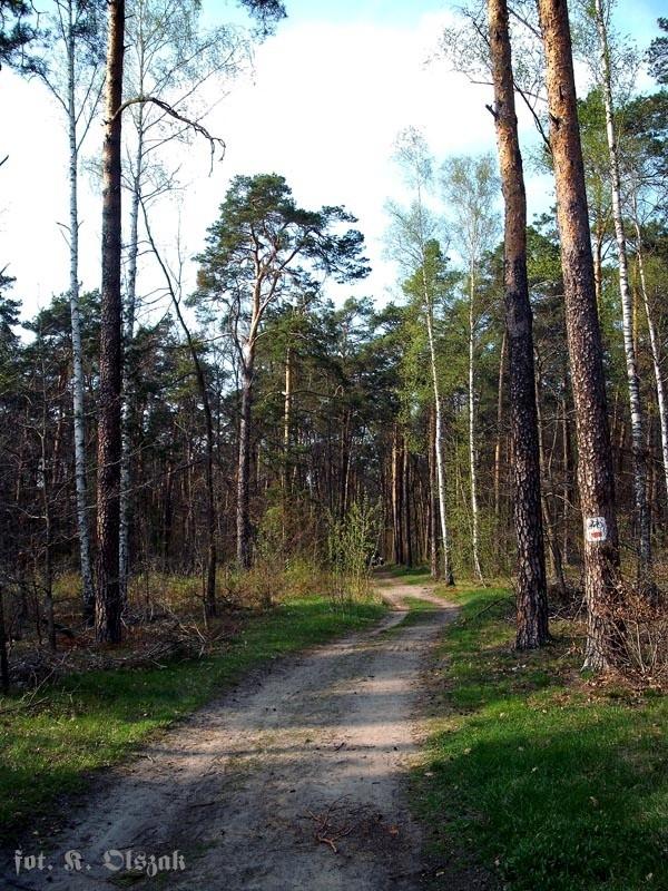 MPK - na czerwonym szlaku