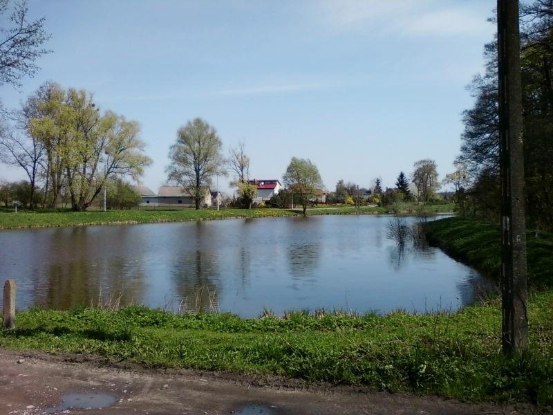 Dobieszków - stawy rybne