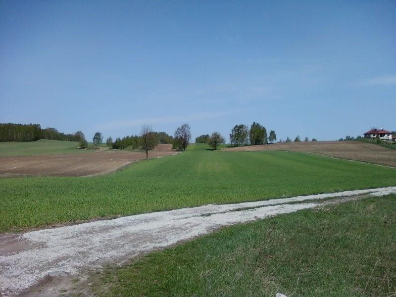 Dwukolorowe pola