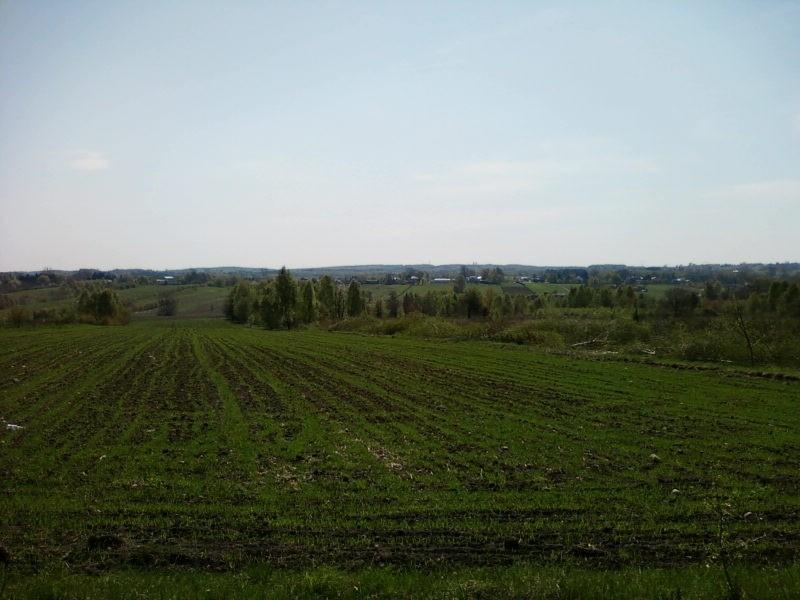 Widok z ul. Moskule