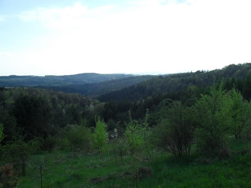 Pogórze Ciężkowicko-Rożnowskie