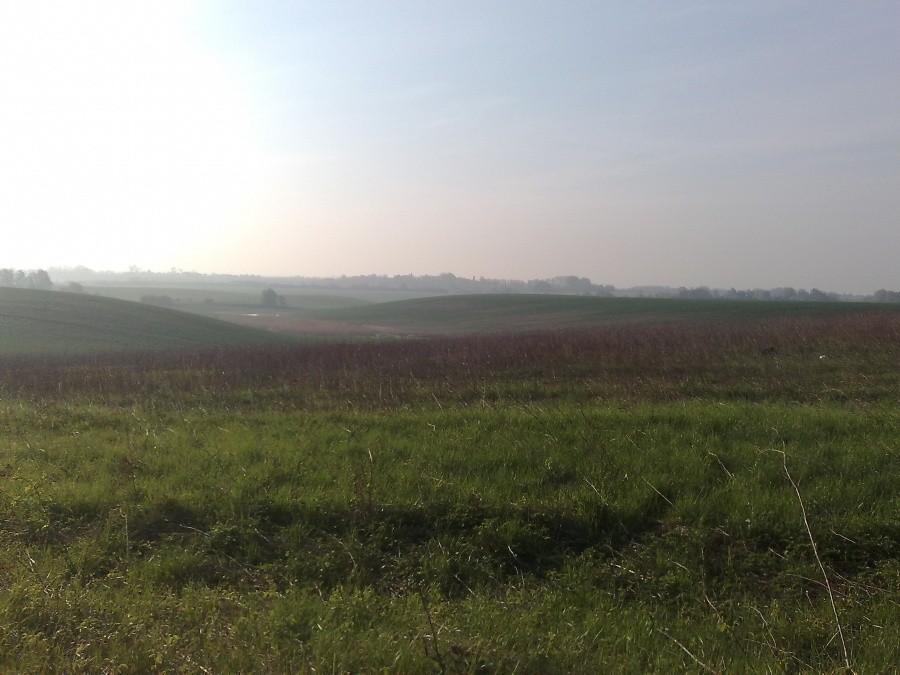 Świat spowity poranną, wstającą mgłą