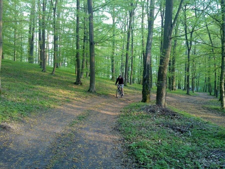 Konin - Rudzica